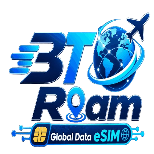 3T Roam